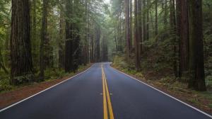 solid-yellow-line-mean-road_fda679fe0b15e0df